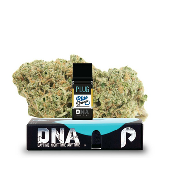 VAPE - 1g PLUG™ DNA: Blue Dream