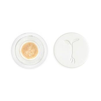 Grapes & Cream Live Rosin